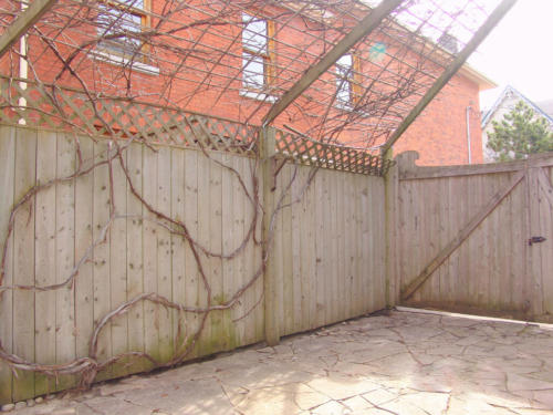 dsc00801_481854317_l_12836540484_o