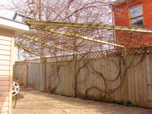 dsc00805_481912775_l_12836130293_o