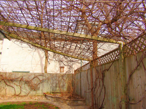 dsc00806_481999189_l_12836535784_o