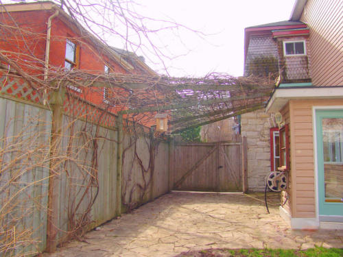 dsc00812_481975432_l_12836529684_o