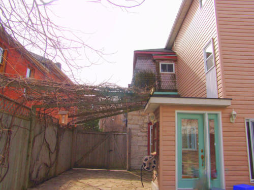 dsc00813_481957456_l_12836127193_o